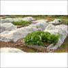 Anti Dampness Polypropylene Plant Cover / Non Woven Fabric For Protecting Plant