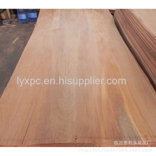 0.28mm nature mersawa wood veneer mersawa face veneer in plywood