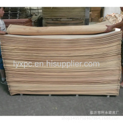 Faced plywood veneer and natural type sliced cut for sales