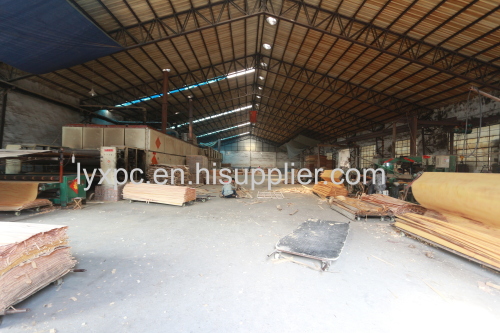 Linyi High Qulity Bintangor Plywood With Two Times Hot Press