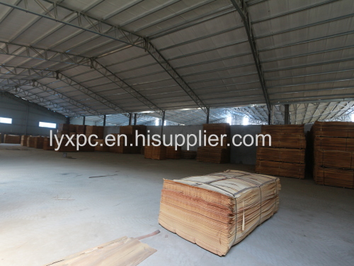 0.3mm  thickness veneer  hot selling bintangor veneer for plywood