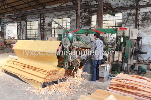 Linyi Bingtangor veneeer plywood sheet