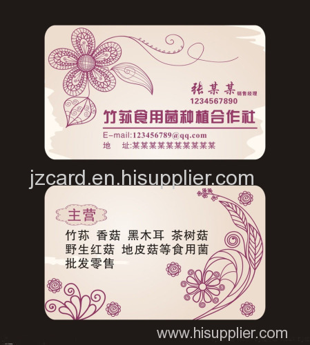 Promotional Items China Offset Printing PVC Plastic Cards