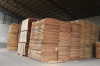 Natural Wood Veneer paramichelia bailloii veneers 4x8