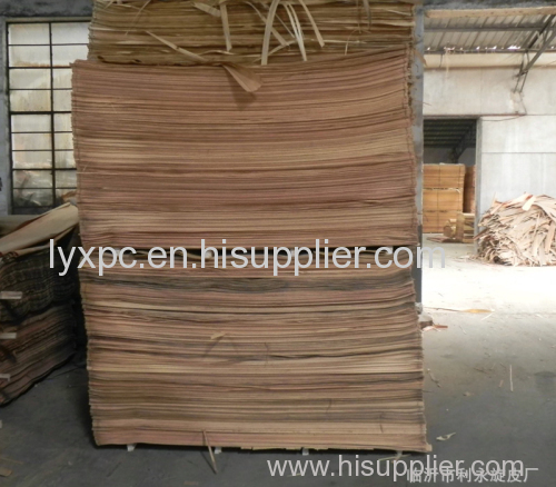 NATURAL EBONY WOOD VENEER Paramichelia baillonii veneers