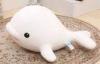 Girly gift 35CM Fill Foam particles Custom Stuffed Toys White dolphin dolphin