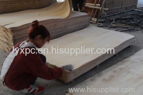 Rotary Bintangor Red Face Veneer for Plywood