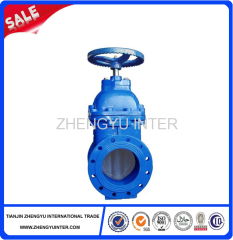 Cast iron gate valve casting parts