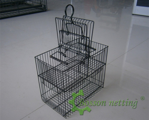 special birds trap cage