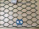 Professional PVC Gabions Wire Mesh Box and Basket for Chicken Hexagonal Wire Netting