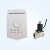 Carbon Monoxide Detector with Solenoid Valve