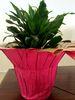 Printed Colorful Indoor Flower Pot Covers for Flower Wrap / Pack Pots Plant