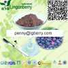 Natural Blueberry Juice Powder