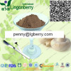 White Mushroom Extract 30% Polysaccharide