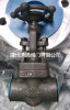 800LB Forged globe valve