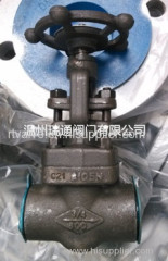 800LB Forged globe valve