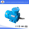 YB2 explosion-proof three-phase asynchronous electric motor made in China