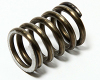 custom stainless steel compression spring