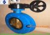 PN10 / PN16 U Type Butterfly Valve with PTFE seat , Manual Butterfly VALVE