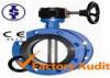 DIN / API / AWWA U Type Butterfly Valve , Double Flanged Butterfly Valves 5 Inch