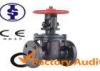 Sluice Small Rising Stem Resilient Seated Gate Valve With API / DIN For Water