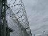 razor wire concertina fencing for top of prison/airport fence