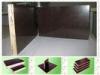 Eucalyptus core Concrete Formwork plywood for building usage 12mm - 21mm , Eco friendly