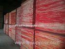 Phenolic film faced shuttering concrete plywood with pine , eucalyptus core 12mm 15mm 18mm