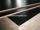 Lightweight Laminated Film Faced Shuttering Plywood For Formwork Concrete
