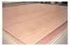 Poplar and Hardwood Pencil Card Commercial Plywood / Furniture Plywood Sheets BB/CC Grade