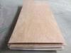 Door Size Bintangor Faced Furniture Commercial Plywood with Water Resistant