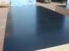 Anti-slip Black Film Faced Plywood Waterproof For Construction 1220x2440 / Mr Glue