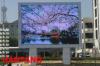 Outdoor P16 full color LED display