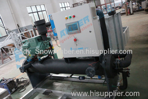 Snow Amber Block Ice Making Machine 5T