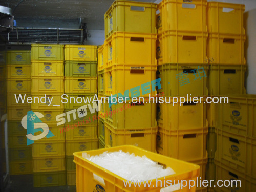 China Snow Amber 10T-20T competitive tube ice machine