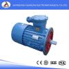 DSB (YBS) series explosion-proof motor from China