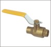 Brass Ball Valve Reduced Port