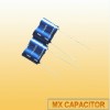 Radial Super Capacitor 1F