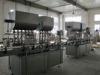 Piston Pump Type Tomato Paste Filling Machine Bottle Filling Line Custom