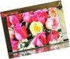 P5 Full Color LED Indoor LED Display Support Any Format Of Video For Airport