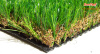 LANDSCAPING artificial grass ( synthetic turf - artificial lawn )