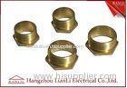 20mm 25mm Brass Male Bush Short & Long For Gi Conduit Thread BS4568