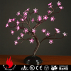 Pink lighted blossom bonsai