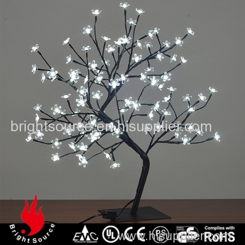 Indoor bonsai tree lighting