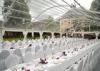 Transparent PVC Tent Frabic Marquee Tents For Party / Wedding 10m * 20m