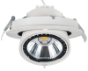 COB Gimbal LED Downlight For Shop CRI>80Ra