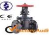 Automated Solid Resilient Wedge Gate Valve PN16 , Cast Iron Water Gate Valves