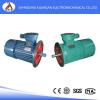 High Quality Flameproof three-phase asynchronous motor