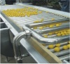 fruit sorter sorting machine grader elevator