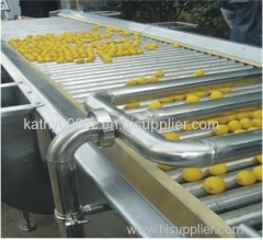 fruit sorter sorting machine grader elevator